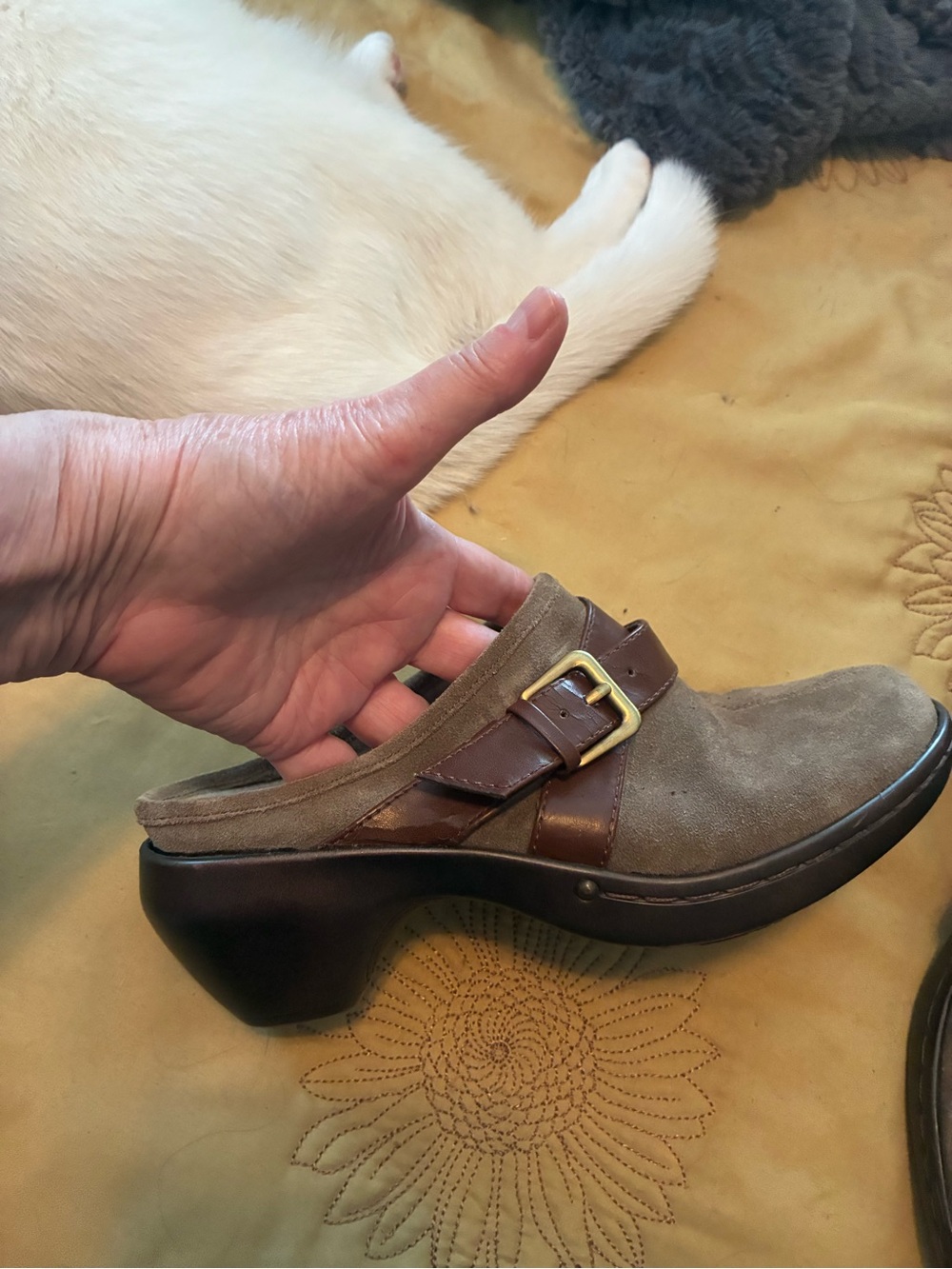 Easy Spirit Taupe and Dark Brown Suede Slip-On Mule with Buckle